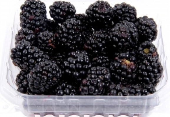 Ежевика 1уп- 250гр