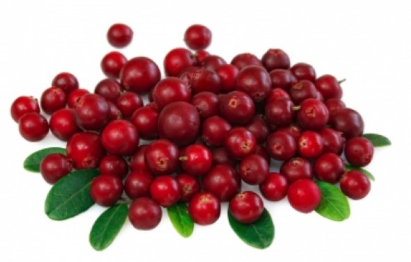 Брусника 1кг