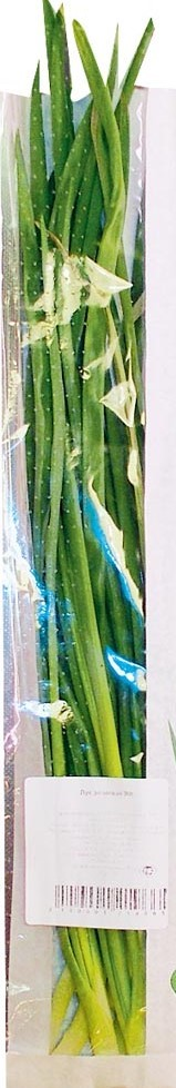 Лук зеленый 100г Дубрава