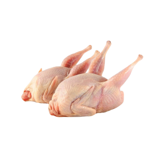 Цыплята Корнишоны 1шт охл МСК