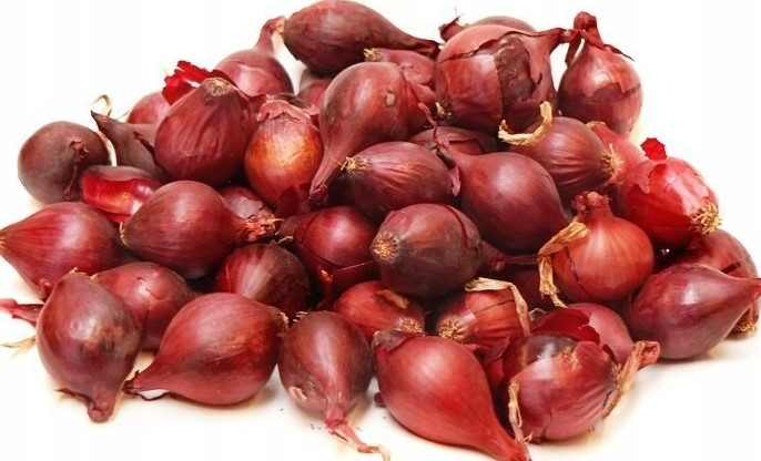 Лук севок красный 1кг