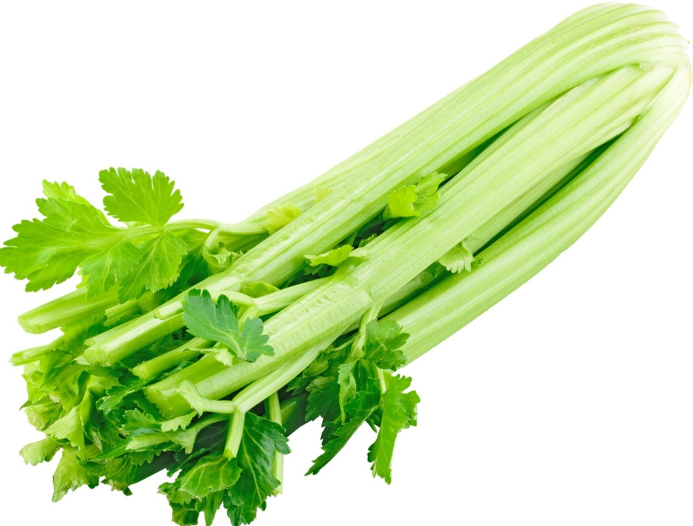 Сельдерей 1шт