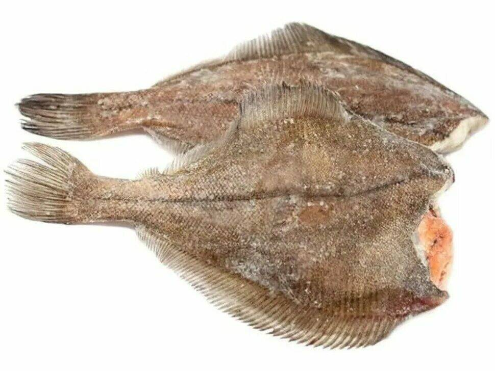 Камбала с/м 1кг