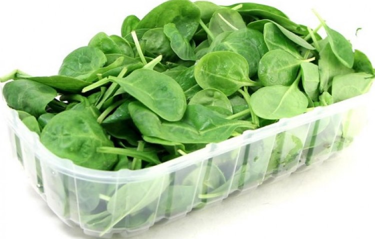 Шпинат 100г Дубрава