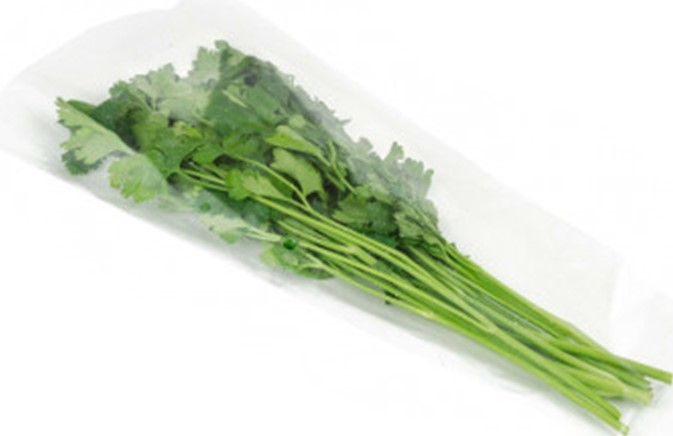 Петрушка 100г Витамин