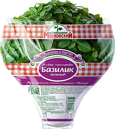 Базилик Премиум в горшочке 1уп АМ