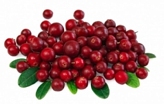 Брусника 1кг