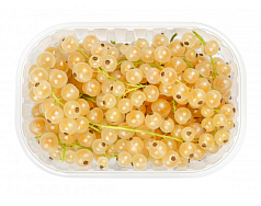 Смородина белая 1уп