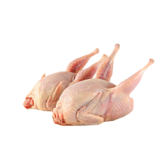 Цыплята Корнишоны 1шт охл МСК