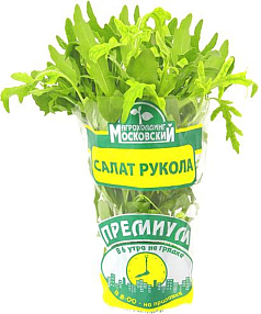 Салат Руккола Премиум в горшочке 1уп АМ