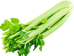 Сельдерей 1шт