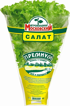 Салат Премиум в горшочке 1шт Агрохолдинг Московский
