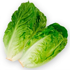 Салат Романо 1кг 