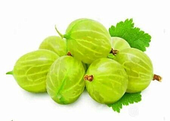 Крыжовник 1кг