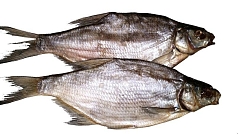 Лещ вяленый 1кг