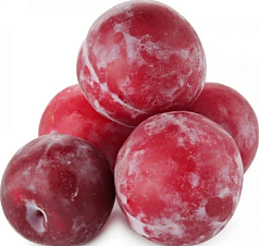 Слива красная 1кг