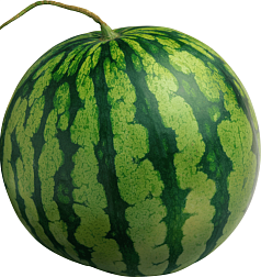 Арбуз 1шт