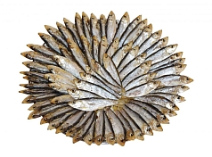 Тюлька вяленая 1кг