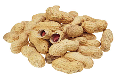 Арахис 1кг в скорлупе
