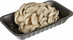 Грибы Вешенка 300г