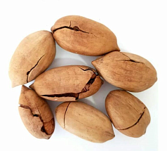 Орех Пекан 1кг н/очищ