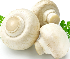 Грибы Шампиньоны 1кг свежие