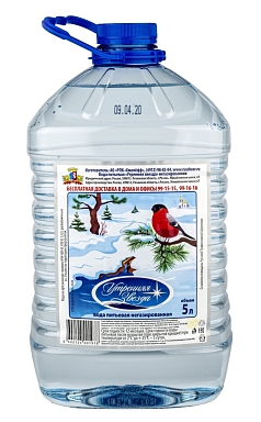 Вода негаз Утреняя звезда 5л