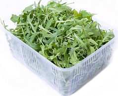 Салат Руккола 1шт