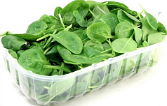 Шпинат 100г Дубрава