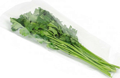 Петрушка 100г Витамин